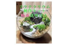 コケテラリウム制作キット 直径15cm 動画説明付き〈コケ 苔 こけ 植物 初心者 インテリア 手作り セット キッド 雑貨 日用品〉 S2702