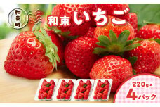 和束いちごパック 220g×4パック【1486577】