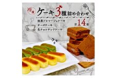 2種類のチーズケーキと生チョコケーキのよくばりボックス【1209088】