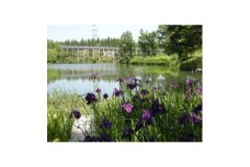 〈1組限定〉けいはんな記念公園ガイド　-日本庭園・里山の楽しみ方-【1209255】