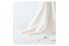 高吸水・抗菌・消臭タオル Bio Towel(ユーティリティ)【1234216】