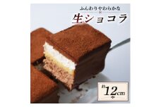 ショコラdeショコラ 1台【1559463】