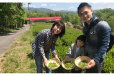 【お子様料金】茶摘み+製茶体験1名（小人料金）※小学生以下 [№5299-0032]
