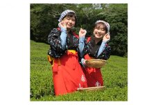 【体験期間：6月末まで】茶摘み＆手もみ製茶体験！茶娘衣装貸出付き（大人1名：中学生以上） [№5299-0034]