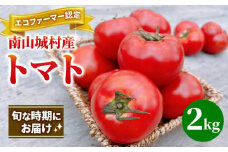 【旬な時期にお届け♪7月下旬より随時配送】内藤おじちゃんが育てる採れたて新鮮な童仙房高原トマト2kgセット◎エコファーマー認定者◎京都府南山城村産 [№5299-0083]