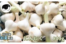 にんにく800g(2023年初夏発送) [№5299-0109]