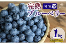 先行予約【8月中旬から随時配送】うえだブルーベリー畑の手摘みブルーベリー【1kg】 [№5299-0128]