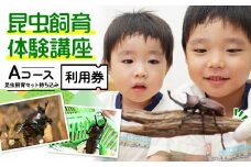 【幼児～小学生対象】昆虫飼育体験講座Aコース（昆虫・飼育セット各自お持ち込み＜体験：7月～9月の各日曜日＞）ご利用券（1名様） [№5299-0130]