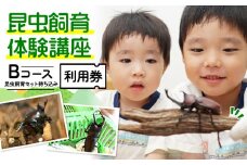 【幼児～小学生対象】昆虫飼育体験講座Bコース（昆虫・飼育セット各自お持ち込み＜体験：9月～12月の各日曜日＞）ご利用券（1名様） [№5299-0131]