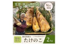 【先行予約 京都 旬の味覚】廣尾農家の朝堀りたけのこ 2kg　京都南山城村産 筍 野菜 タケノコ 京野菜 新鮮 旬 季節限定№5299-0173]