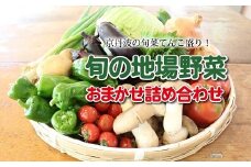 京丹波町和知地区で栽培された旬の地場野菜おまかせ詰め合わせ【 新鮮 旬野菜 季節の野菜 野菜 地元野菜 詰め合わせ セット 】※北海道・東北・沖縄は配送不可 [010NA001]
