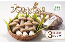 大黒本しめじ 大判 3パックセット （ 国産 京都 きのこ キノコ 丹波 しめじ 食感 シャキシャキ 天ぷら 鍋 炒め物 ） ※北海道・沖縄・その他離島への配送不可 [012MK001]