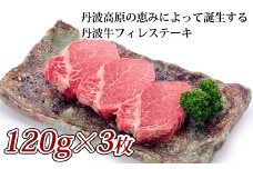  丹波牛フィレステーキ 360g（120g×3枚） 【 国産牛 和牛 牛肉 丹波牛  牛ステーキ 赤身 赤身肉 京都  いづつ屋 ステーキ  】　[040IZ001]