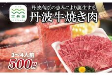 丹波牛 焼肉用 500g 3～4人前 【 黒毛和牛 国産牛 焼肉 丹波牛  赤身 霜降り 500g 3～4人前 京都 いづつ屋  】 [025IZ001]