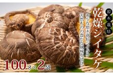 乾燥シイタケ詰め合わせ 原木栽培 天然 しいたけ 京都 京丹波町産 椎茸　[010TS001]
