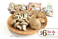 京丹波町産 きのこバラエティセット （ 国産 京都 きのこ キノコ 大判 丹波 しめじ カット 本シメジ 食感 シャキシャキ 旨味たっぷり 菌床 シイタケ 椎茸 天ぷら 鍋 炒め物 ） ※北海道・沖縄・その他離島への配送不可 [010MK001]