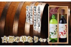 京料理を意識した上品な味わい　丹波ワイン「古都の華なり」セット【 国産ワイン 赤ワイン 白ワイン ワイン 】　 [014SA001]