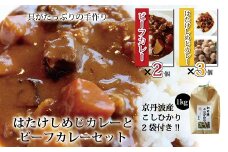 具がたっぷりの手作り特製はたけしめじカレーとビーフカレーセット　[010NA013]