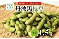 《 先行予約 》丹波黒枝豆 さや 1.5kg（京都 京丹波町産 丹波黒大豆）≪秋だけの期間限定 数量限定≫【季節限定  おつまみ  枝豆 えだまめ  地域限定 黒豆 ご当地グルメ 特産品】※北海道・沖縄・その他離島は配送不可 [010KK002L]