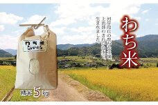 わち米 5kg こしひかり 精米 京都 京丹波町産 和知 栽培地域限定 ※北海道・沖縄・その他離島は配送不可 [010NA012L]