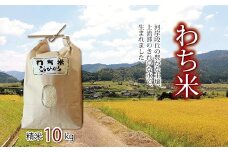 わち米 10kg こしひかり 精米 京都 京丹波町産 和知 栽培地域限定 ※北海道・沖縄・その他離島は配送不可 [015NA003L]