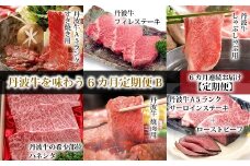 【６回定期便】丹波牛を味わう6カ月定期便Ｂ　【 ローストビーフ付き定期便 丹波牛定期便 食べ比べ定期便 牛肉定期便 焼肉 すき焼き しゃぶしゃぶ 定期便  ブロック 肉 A5 ランク 牛 冷凍 定期便 京都 京丹波町 】 　[220IZ001R]