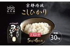 【6カ月定期便】 京丹波こしひかり 5kg×6カ月連続 合計30kg 令和7年産 新米 京都 米 精米 コシヒカリ ※北海道・東北・沖縄・その他離島は配送不可 [060MB003R]
