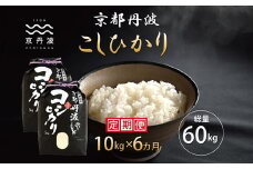 【6カ月定期便】 京丹波こしひかり 10kg×6カ月連続 合計60kg 令和7年産 新米 京都 米 精米 コシヒカリ ※北海道・東北・沖縄・その他離島は配送不可 [090MB003R]