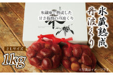 京都・京丹波町産　栗　氷蔵熟成・丹波栗　1kg　 [010IW001L]