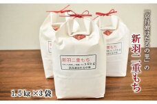 京丹波ほたるの里のもち米 1.5kg×3袋（総量4.5kg） 京都 餅米 ※北海道・沖縄・その他離島は配送不可 [010HS005L]