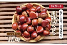 栗の名産地・京丹波町産 低温熟成 丹波くり（Lサイズ） 1.5kg ※北海道・沖縄は配送不可 [012NA005L]