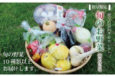 ≪数量限定≫新鮮冬野菜！京丹波の「丹波高原新鮮朝市」より厳選お野菜≪旬のお野菜を目利きがセレクト！≫の詰め合わせセット　[010KK004L]