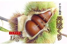 チルド熟成 丹波くり 4L 1kg（ 京都 京丹波町産 丹波栗 熟成 生栗） ※北海道・沖縄・その他離島は配送不可　[018TNX001L]