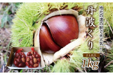 京都 京丹波町産 丹波くり 1kg （ 数量限定 道の駅で大人気の丹波栗 ）※北海道・沖縄・その他離島はお届け不可 [010MN001L]