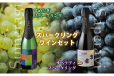 丹波ワイン「サぺラヴィ（赤）」「すめらぎ（白）」のスパークリングセット【 赤ワイン 白ワイン 国産ワイン スパークリングワイン 】　[018SJ002]