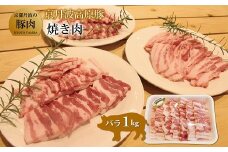 京丹波高原 豚バラ 焼き肉 1kg 【 京丹波高原豚 京都 京丹波町産 国産 豚肉 ポーク 京都ポーク 焼き肉 豚丼 お弁当 】 ※北海道・沖縄は配送不可 [010TN004]