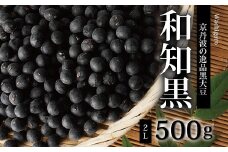 京都丹波の黒豆「和知黒」　2Lサイズ　500g（生産地域限定　京都・京丹波町産　黒大豆）　[013NA002]