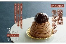 渋皮栗モンブラン ≪ 数量 期間限定 ≫ 【 京都 丹波栗 低温熟成 国産 栗 和栗 】 [010NA024L]