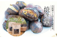 丹波くり 焼き栗 600g （ 京都 京丹波町産 チルド熟成 丹波栗 3Ｌ以上 大栗 栗農園 自家焼き 期間限定 数量限定） ※北海道・沖縄は配送不可 [012TNX002L]