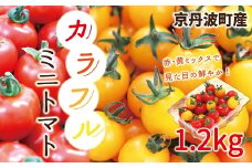 完熟ミニトマト（赤黄ミックス）1.2kg（600g×2パック）　≪期間限定≫　京都・京丹波町産　[010KS003L]