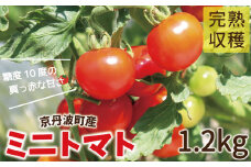 完熟ミニトマト　1.2kg（600g×2パック）　≪期間限定≫　京都・京丹波町産　[010KS002L]