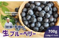 京丹波のブルーベリー 700g （100g×7パック） 手摘み 無農薬栽培 京都 京丹波町産 小分け ※北海道・沖縄・その他離島はお届け不可　[010UN001L]