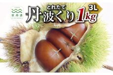 とれたて 丹波くり 3L 1kg（京都 京丹波町産）【 大粒 和栗 生栗 国産栗 地域限定 丹波栗 くり 栗 栗ご飯 】※北海道・沖縄・その他離島は配送不可  [013TNX002L]