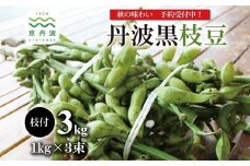 《先行予約》 丹波黒枝豆 枝付き 3kg （京都 京丹波町産 丹波黒大豆）≪秋だけの期間限定 数量限定≫【季節限定 おつまみ 枝豆 えだまめ 地域限定 黒豆 ご当地グルメ 特産品】※北海道・東北・沖縄・その他離島は配送不可 [010KK008L]