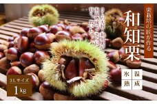 ≪数量限定≫氷温熟成 和知栗 3Lサイズ 1kg 京都 京丹波町産 和栗 丹波栗 くり 丹波くりマイスター高糖度 丹波マロンファーム ※北海道・沖縄・その他離島は配送不可 [013MR001L]