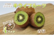 京丹波のキウイフルーツ（香緑）詰め合わせ　（5～6個入り×4パック）　[010UN004L]