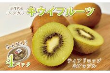 京丹波のキウイフルーツ（ティアドロップ・アップル）詰め合わせ　（5～6個入り×4パック）　[010UN002L]