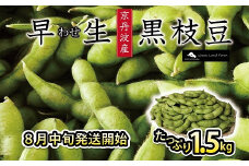 ≪数量限定≫早生 黒枝豆（さや） 1.5kg（300g×5袋） ≪期間限定≫ 京都 京丹波町産 ※北海道・東北・沖縄・その他離島は配送不可 [010SH003L]