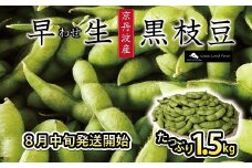 ≪数量限定≫早生 黒枝豆（さや） 1.5kg（300g×5袋） ≪期間限定≫ 京都 京丹波町産 ※北海道・東北・沖縄・その他離島は配送不可 [010SH003L]