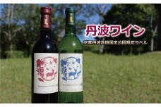 丹波ワイン 飲み比べ 赤・白 2本セット 京都丹波高原国定公園限定ラベル【 赤ワイン 白ワイン 国産ワイン 】　[012SPH001]